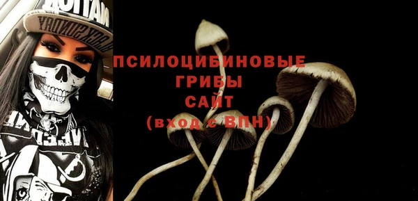 амф Беломорск